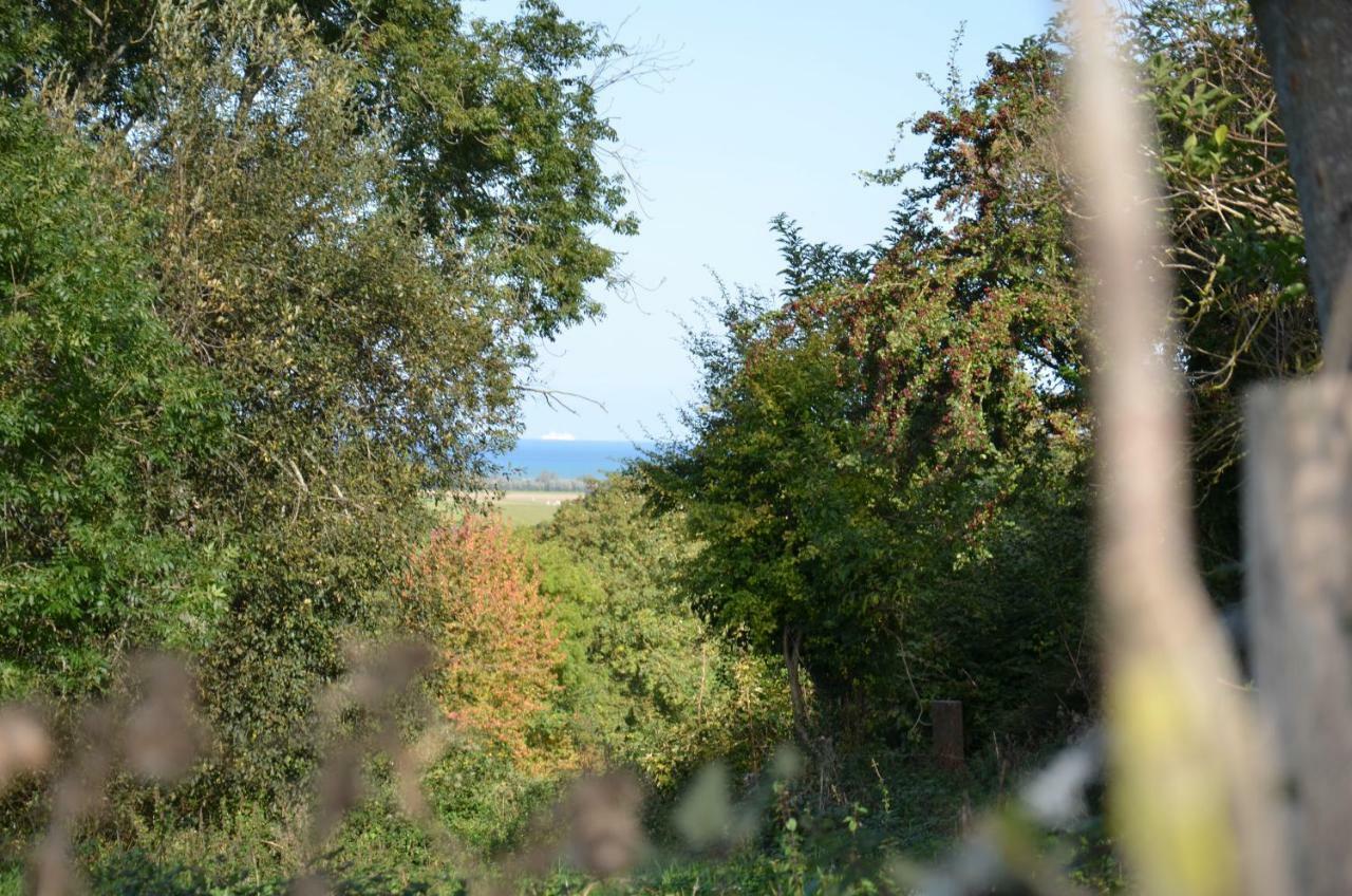 Bazenville O Loftヴィラ エクステリア 写真